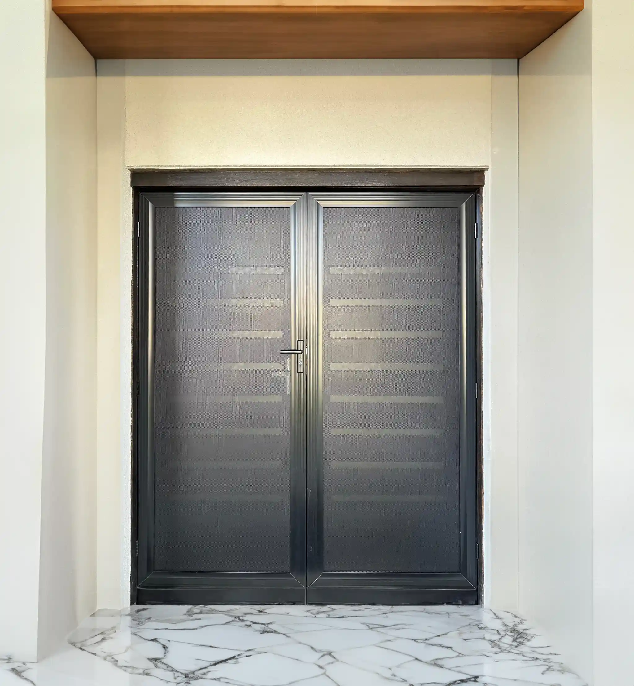 security door image
